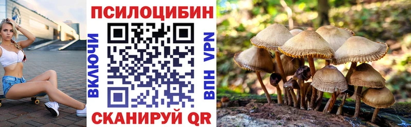 Галлюциногенные грибы Magic Shrooms  что такое   Стародуб 